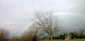 Marymoor Park, Redmond Washington