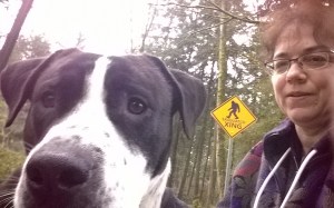 Microsoft Campus trail Sasquatch sign